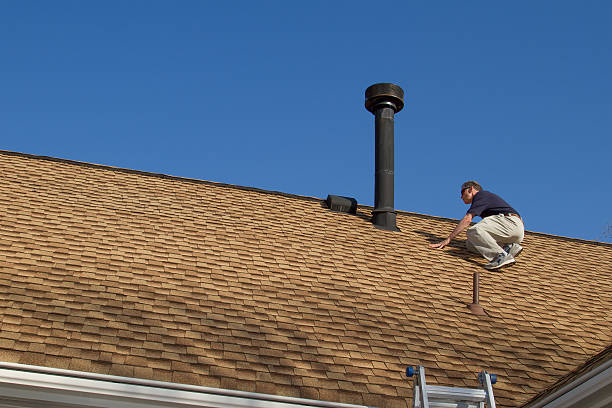 Best Solar Panel Roofing Installation  in Tangelo Park, FL